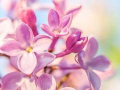 곧 우정이란 이름의 시간은 끝을 고한다.