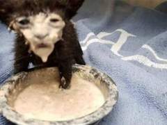 내 사주 정리 + 최애와의 궁합들