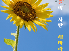 새로운 보금자리