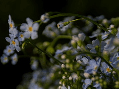 망운지정 서 휘 프로필