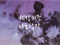 [모집마감] 백장미조 타로카드 그림 합작 공지