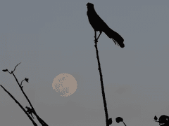 진 세화 / 29 / XX