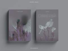 [sold out] 14. crawl walk