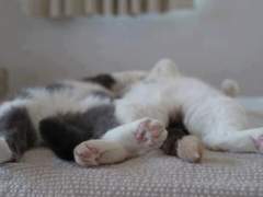 ❤출간작 공지❤