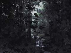 #1-6 어느 옛이야기