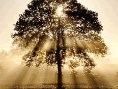 #1-8 어느 옛이야기(完)