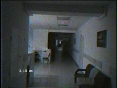 누가 울새를 죽였나?