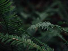 응? 무슨 일이야.