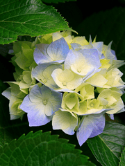 경찰과 히어로의 차이