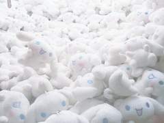 사랑과 남매의 우애