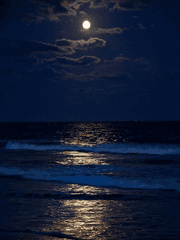 쿠키 단편 모음