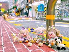 完)) 20cm 봄스커트옷장