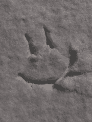 저승과 이승 그 사이 어디쯤