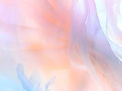 [렌탄] 임금님! 제가 딱 맞으신가요?