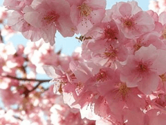 첫사랑은 이루어진다 - 1