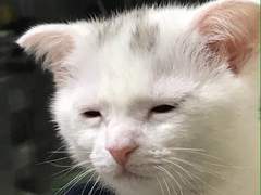 레즈비언들은 왜 그런걸까