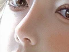 스킨 브러쉬 공유