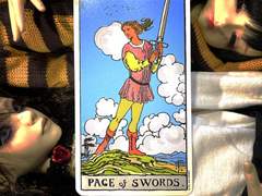 이번 주의 카드: Page of Swords