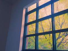 이 모든 것의 시작