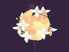 [긴타카] 벚꽃은 테두리를 넘어 날리고