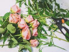 후회하고 싶지 않아요