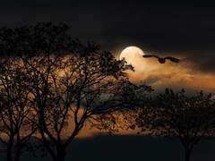 그러니 너는 나를 기억하지 말아라,