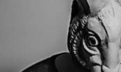 레스티 더 레빗