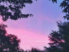 내 두려움을 모아