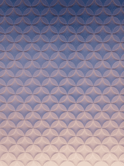 캐릭터 프로필 | Characters' profiles