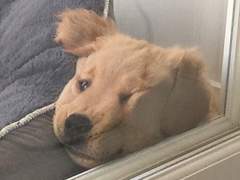 밬곹 트윗백업 - 9월