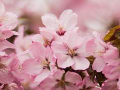 03# 제 말동무가 되어주지 않겠어요?