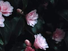 04# 클로드씨니까, 클로.. 는 어떨까요?