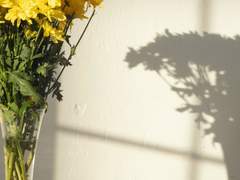 05# ...! 어, 미안해요.