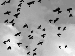 [NCT] 아수라 프로젝트 04