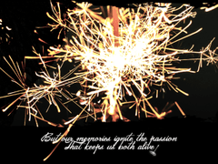 헤더 디자인, 자유 SD, 커뮤 안내문 디자인