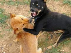 사랑없는친구사이!talk 4