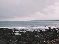 [성식은창] 상경