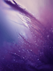 [BL] 숨결이 얽히면