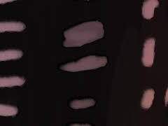 [조로산] STARDUST