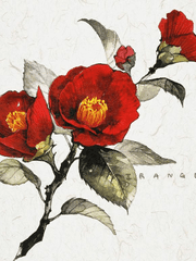 그대만을 사랑해.