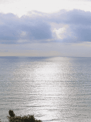 [세종탬/찬백] Forget-me-not  2부 - 발화