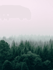 유리 온실 속 성녀님