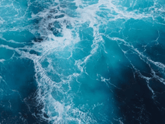 바다는 바다, 지구는 지구.