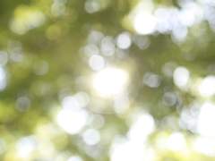 [고죠우타] 首尾相關