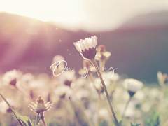 [에반+에단] On going