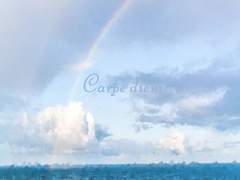 기브 앤 테이크