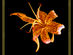 S1-완. 아까부터 안아주고 싶었어요.