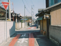 [사쿠사 키요오미: 그해 여름]