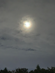 권태기(倦怠期) : 세븐틴 빙의글