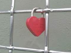 직진, 그리고 후퇴.